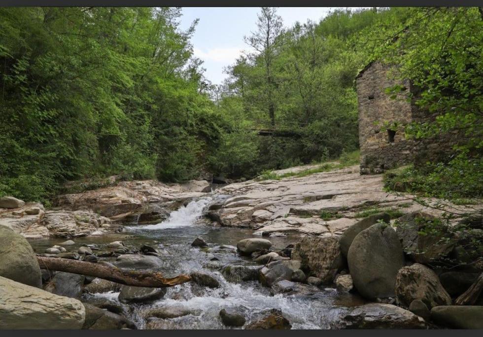 Wayne'S House, A Short Walk To The Waterfalls Bagnone Exterior foto